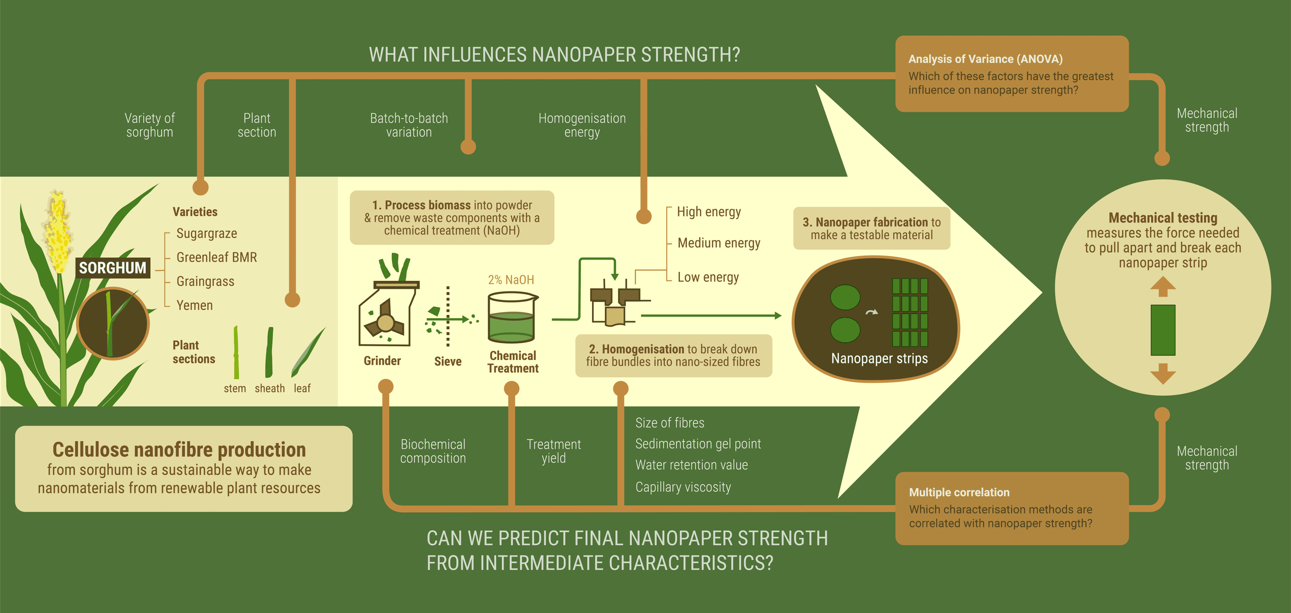 Illustrating a research workflow